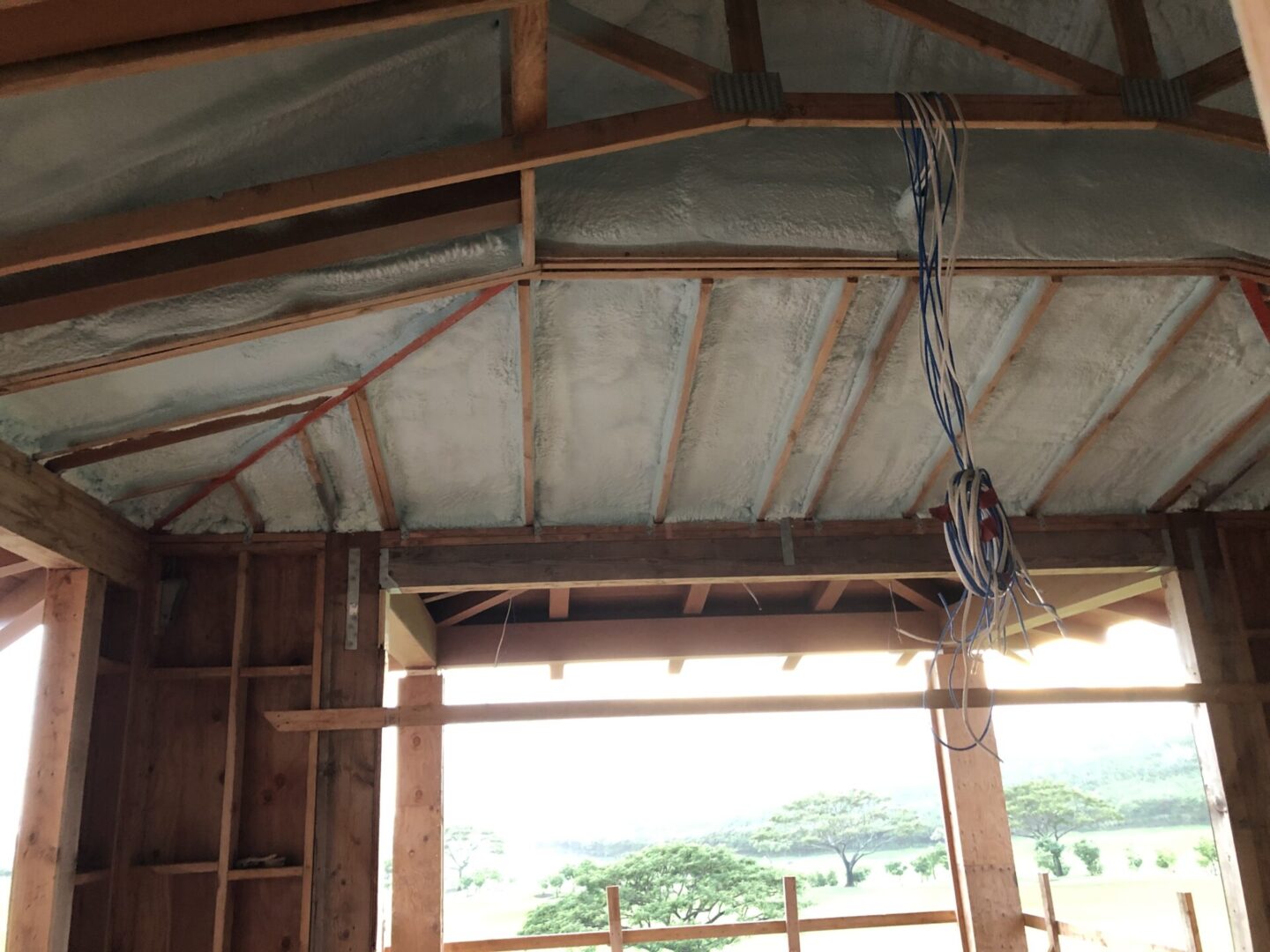 wooden beams and ceiling with spray on insulation